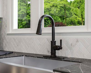 Pfister Tuscan Bronze 1-handle Pull-down Kitchen Faucet GT529-TDY