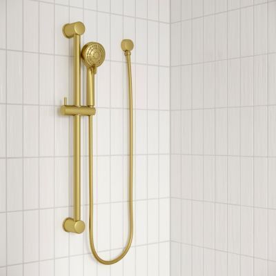 Pfister Brushed Gold Ada Handheld Shower With Slide Bar