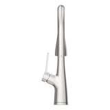 Pfister Stainless Steel Pull-down Kitchen Faucet