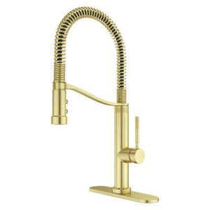 Bruton Culinary 1-Handle Pull-Down Kitchen Faucet in Brushed Gold