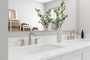 Pfister Brushed Nickel 2-handle 8" Widespread Bathroom Faucet LG49-COL0K