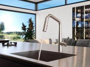 Spot Defense Stainless Steel 1-handle Pull-down Kitchen Faucet GT529-ASRGS