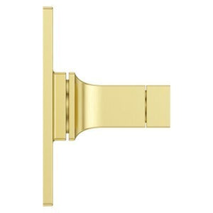 Pfister Brushed Gold Shower Valve Only Trim Without Handles R89-1VRVBG