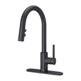 Pfister Black Stellen 1-handle Pull Down Kitchen Faucet