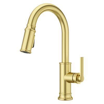 Pfister Brushed Gold 1-handle Pull-down Kitchen Faucet