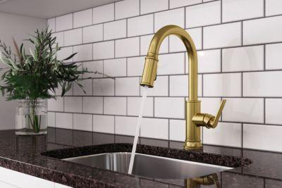 Pfister Brushed Gold 1-handle Pull-down Kitchen Faucet