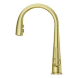 Pfister Brushed Gold 1-handle Pull-down Kitchen Faucet