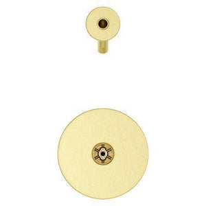 Pfister Brushed Gold 1-handle Tub & Shower Trim R897-COLBG