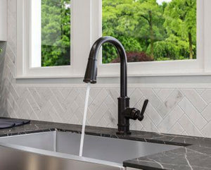 Pfister Tuscan Bronze 1-handle Pull-down Kitchen Faucet GT529-TDY