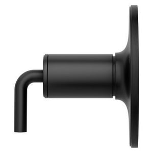 Pfister Matte Black 1-handle Tub & Shower Valve Only Trim R89-1TNTB