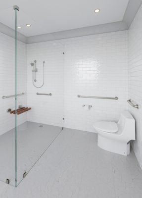 Polished Chrome Pfister Handshower Only LG16-510C