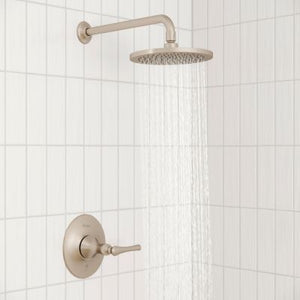 Pfister Brushed Nickel 1-handle Shower Only Trim LG89-7RHK