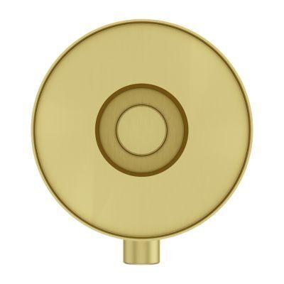 Pfister Brushed Gold Contempra Diverter Trim