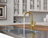 Montay 1-Handle Bar/Prep Kitchen Faucet in Brushed Gold