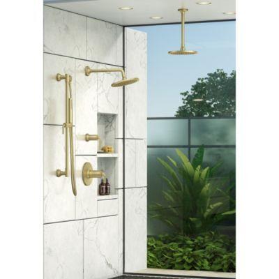 Pfister Brushed Gold Handheld Shower With Slide Bar