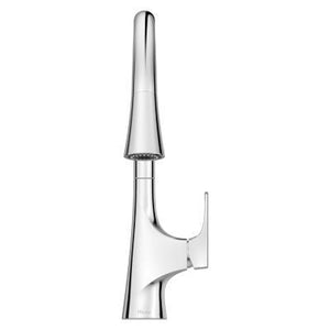 Pfister Polished Chrome 1-handle Pull-down Kitchen Faucet GT529-NRC