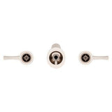 Rhen Wallmount Widespread Lavatory Faucet in Brushed Nickel