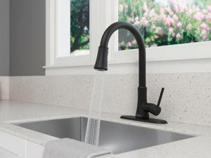 Pfister Matte Black 1-handle Pull-down Kitchen Faucet G529-PF2B