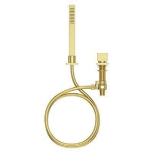 Pfister Brushed Gold Roman Tub Handshower With Diverter LG16-VRVBG