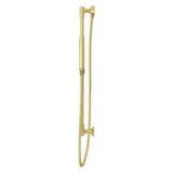 Pfister Brushed Gold Handheld Shower With Slide Bar