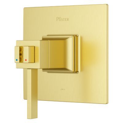 Pfister Brushed Gold Trim Kit for Thermostatic Shower