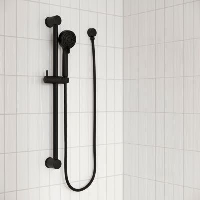 Pfister Matte Black Ada Handheld Shower With Slide Bar