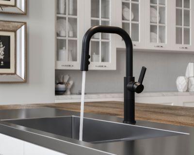 Pfister Matte Black 1-handle Pull-down Kitchen Faucet