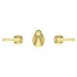 Rhen Wallmount Widespread Lavatory Faucet in Brushed Gold