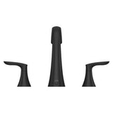 Weller 2-Handle Roman Tub Trim in Matte Black