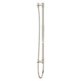 Pfister Polished Nickel Handheld Shower With Slide Bar