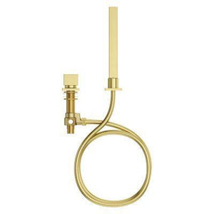 Pfister Brushed Gold Roman Tub Handshower With Diverter LG16-VRVBG