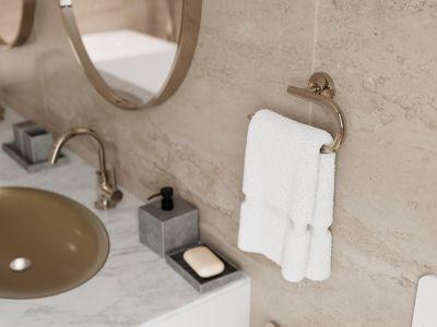 Pfister Polished Nickel Towel Ring BRB-TNTD