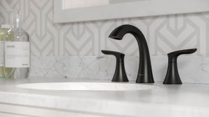 Pfister Matte Black 2-handle 8" Widespread Bathroom Faucet LG49-WR0B