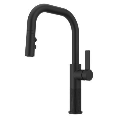 Pfister Matte Black 1-handle Pull-down Kitchen Faucet