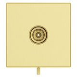 Pfister Brushed Gold Trim Kit for Thermostatic Shower