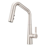 Spot Defense Stainless Steel 1-handle Pull-down Kitchen Faucet