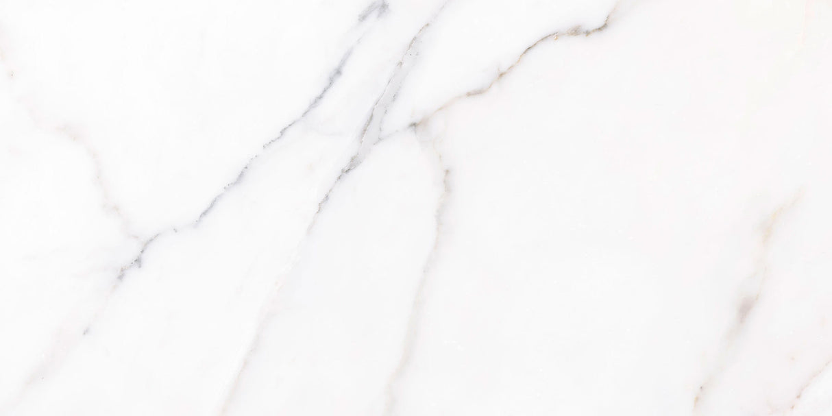 Zurich Pearl 24" x 48" Polished Porcelain Floor and Wall Tile