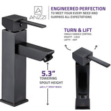 ANZZI L-AZ112ORB Pygmy Single Hole Single Handle Bathroom Faucet in Oil Rubbed Bronze