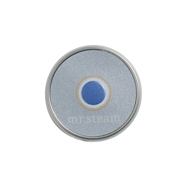 Mr Steam Emergency Steam Shut Off System