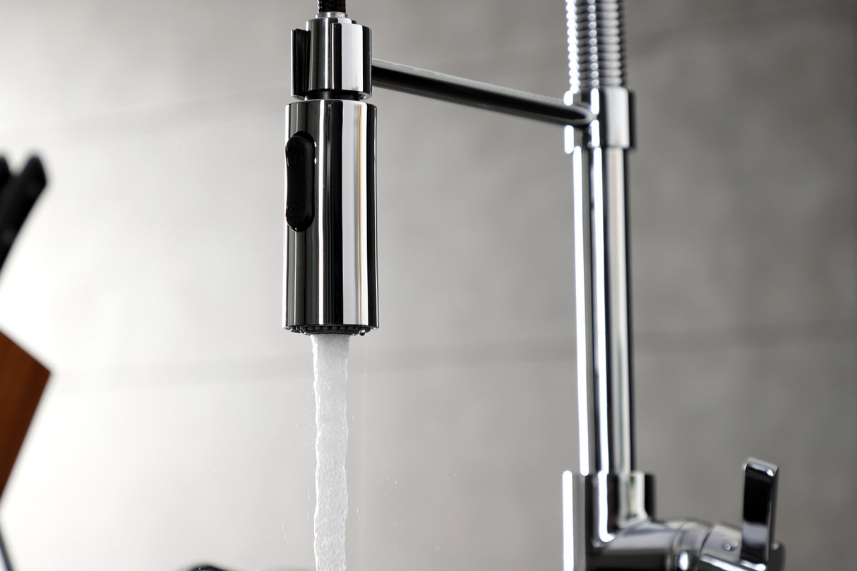 Gourmetier LS8771CTL Continental Single-Handle Pre-Rinse Kitchen Faucet, Polished Chrome