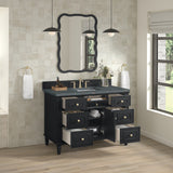 Lorelai 48" Single Vanity, Black Onyx w/ 3 CM Parisien Bleu Silestone Top w/FreePower Wireless Charger