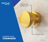 SteamSpa Steamhead with Aromatherapy Reservoir in Polished Gold G-SHGOLD