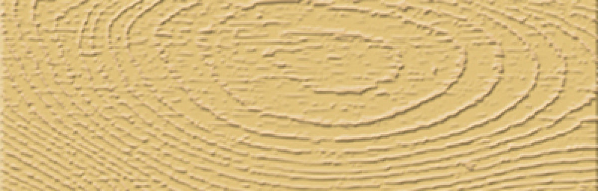 Häfele 007.39.590 Latex Wood Filler, FAMOWOOD®, Pint, White