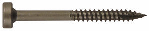 Häfele 019.09.081 Pocket Hole Screw, Pan Head, T17, Square Drive, Fine Threads, Steel, Dry Lube, #6-18 x 1 1/4"