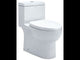 EAGO TB359 DUAL FLUSH ONE PIECE ECO-FRIENDLY HIGH EFFICIENCY LOW FLUSH CERAMIC TOILET