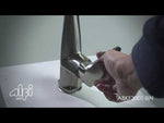 Brushed Nickel Kitchen Faucet with Black Rubber Stem