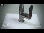 Brushed Nickel Gooseneck Pull Down Kitchen Faucet