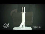 ALFI brand AB2609-BN Brushed Nickel Air Gap Cover and Tube for Dishwasher
