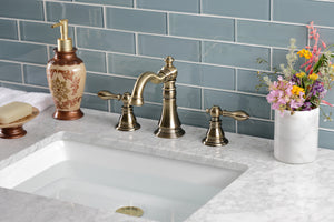 Fauceture FSC19733ACL American Classic Widespread Bathroom Faucet, Antique Brass