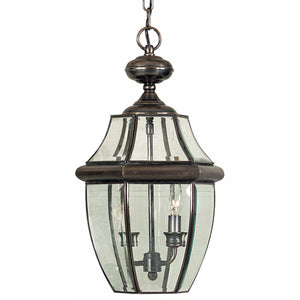 Quoizel Newbury 2 Light 10" Wide Outdoor Pendant Lantern with Clear Glass
